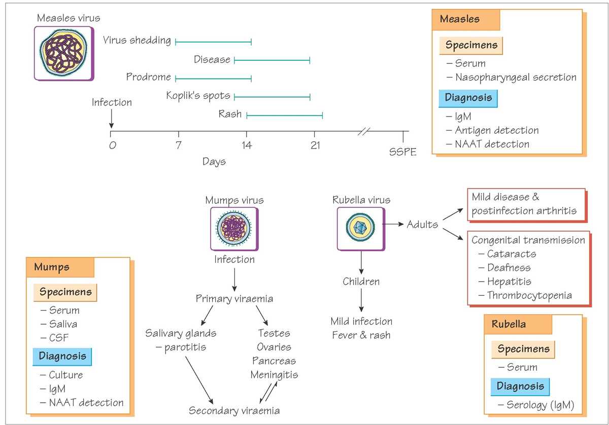 A Visual Guide To Nrp Th Edition Flow